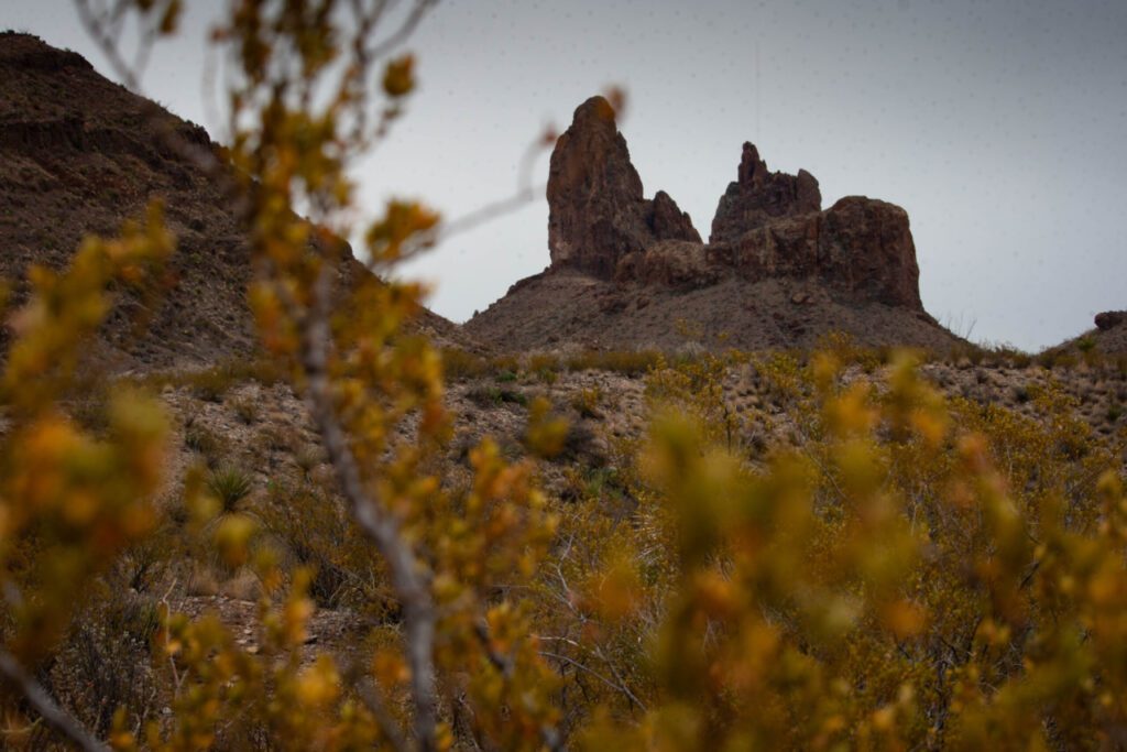 Mule Ears