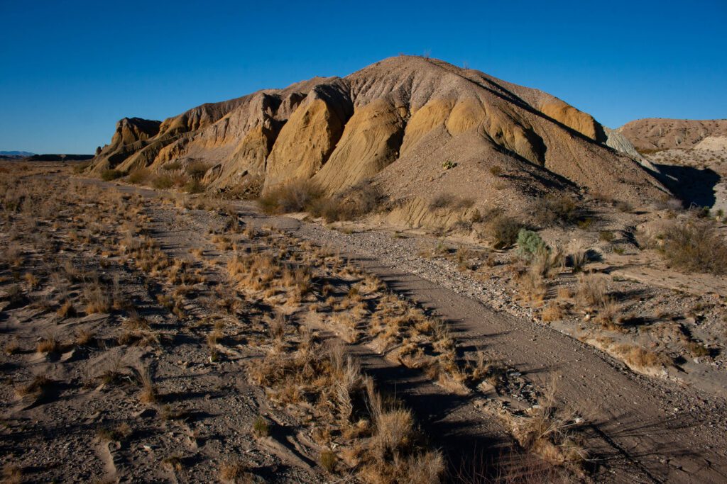 Big Bend roadside photo