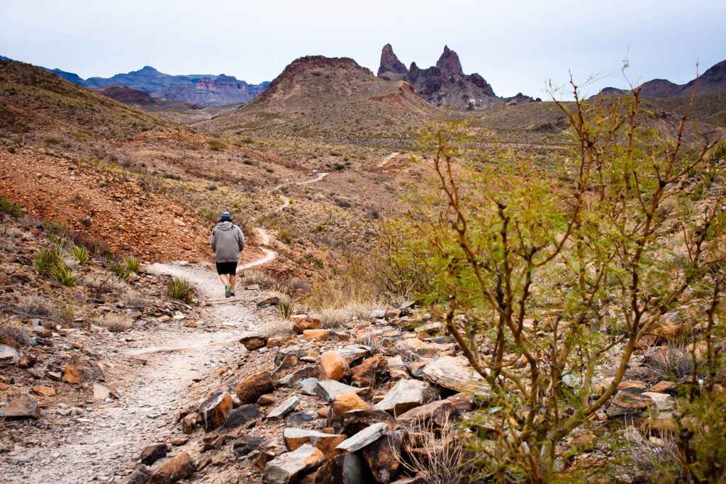 Mule Ears Trail