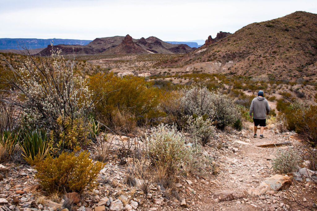 Mule Ears Springs Trail