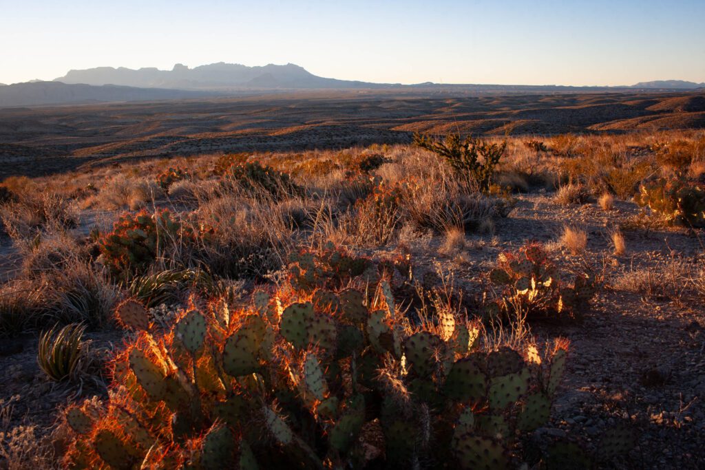 Chisos Basin view from Hot Springs Canyon Trail