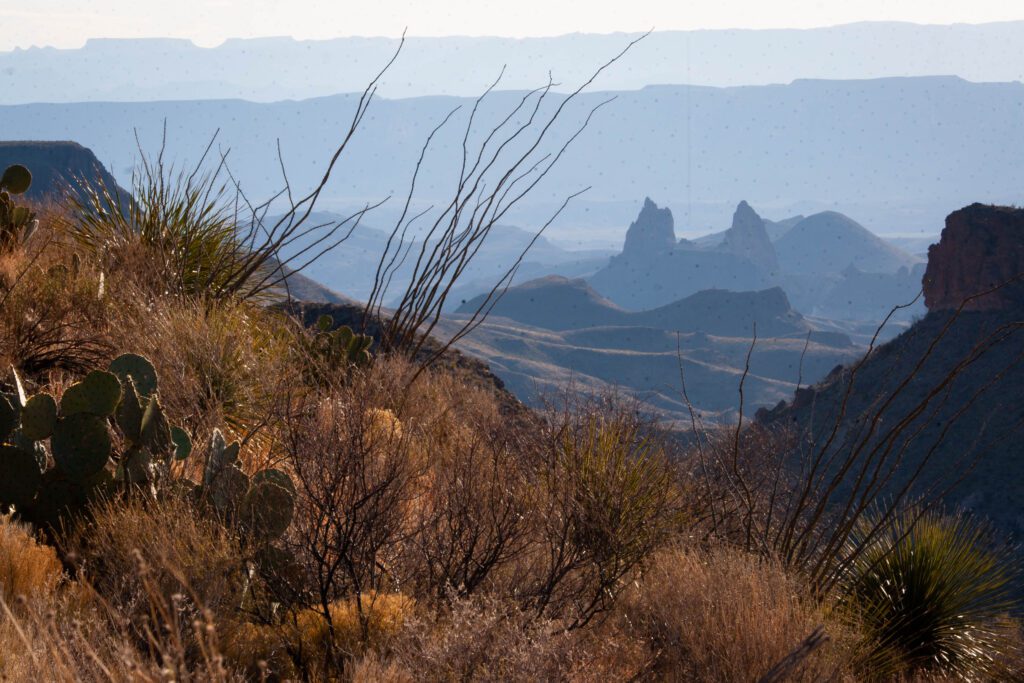 Mule Ears from Dodson Trail