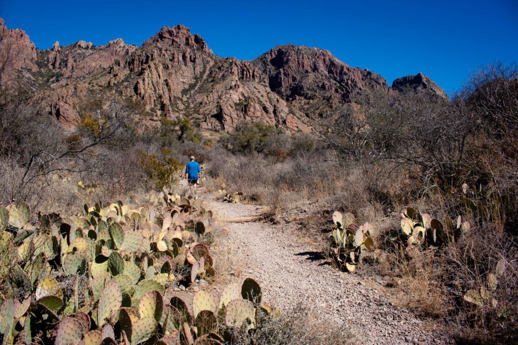 The Window Trail