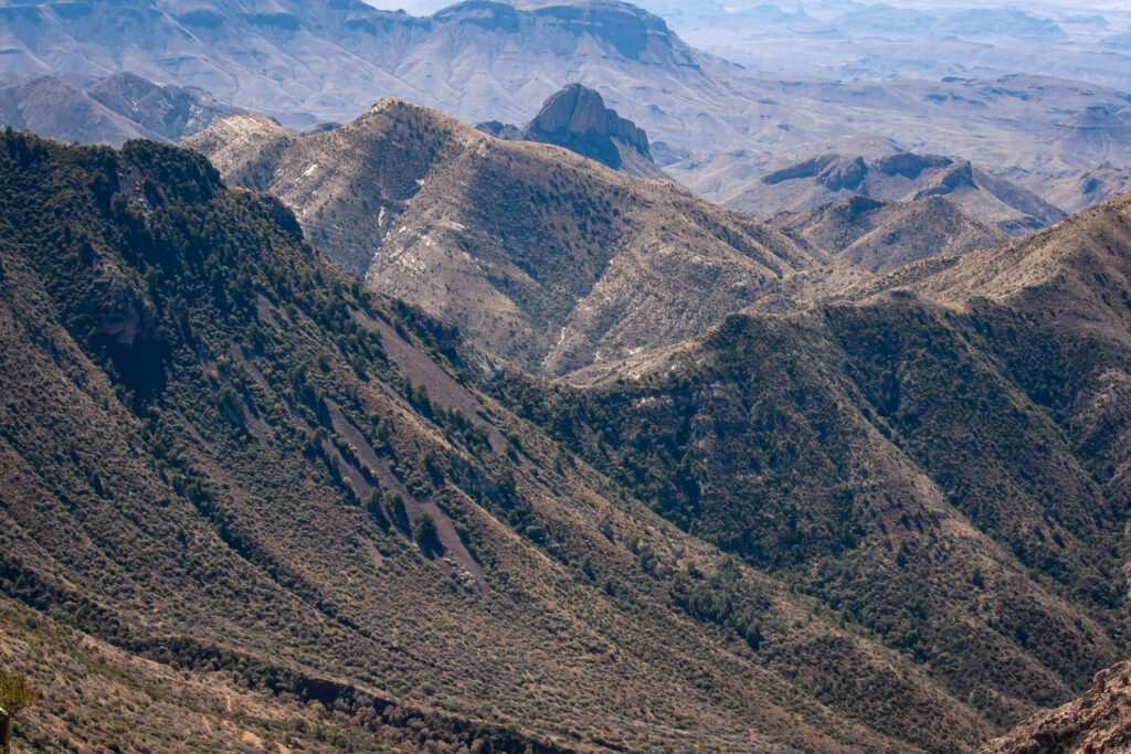 Emory Peak