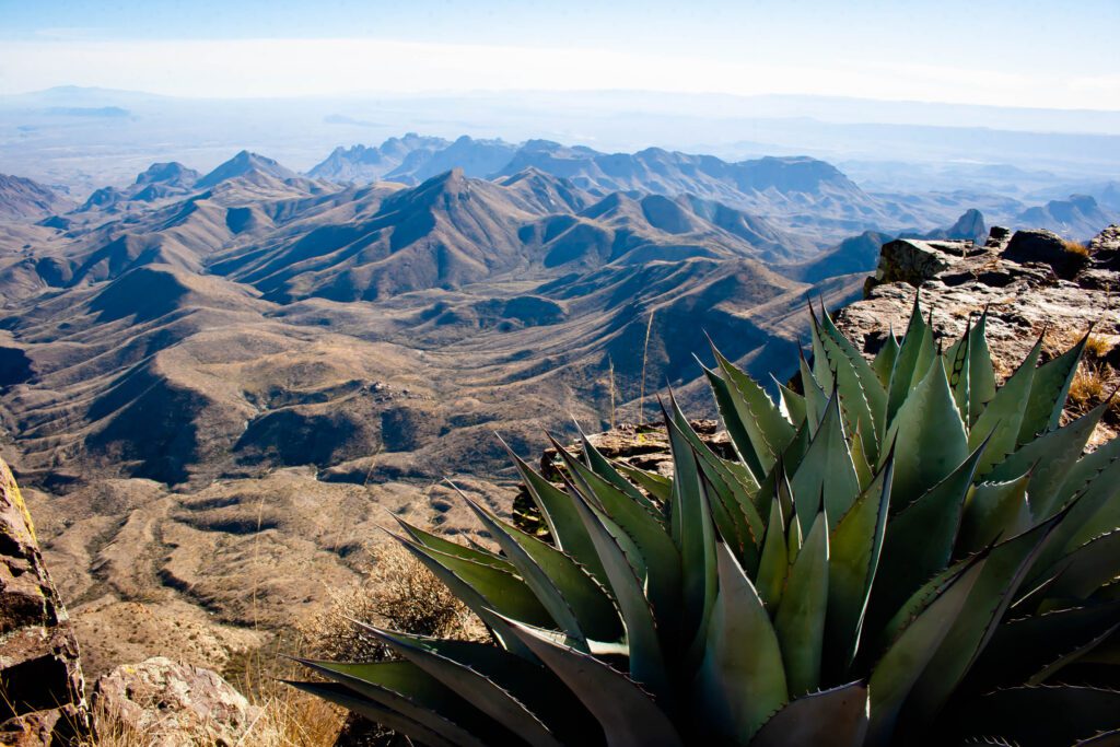 South Rim with agave