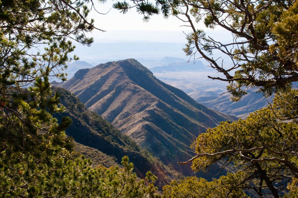 South Rim Trail View